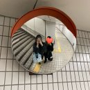 마라몬떼 | 250305-250308 오사카 ✈️