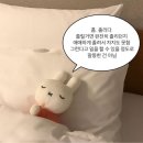 (주)조아조아테크 | [주간제리] 1st week of Sep. 내돈내산 인생은 재밌어