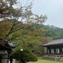 덕성카써비스 이미지