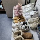 조은운동화빨래방 이미지