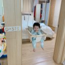 315 봄 이미지