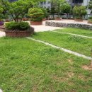 패랭이공원 내 이미지