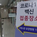 제주방목흑도야지 이미지