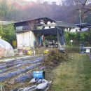 박곡농장 이미지