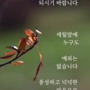 강우 정육식당