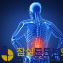 잠실튼튼본의원 이미지