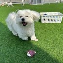 루이야 놀고 자고 GO 이미지