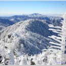 ☞6/28.지리산 천왕봉 ☜ 조기출발 국립공원 제1호로 지정된 지리산은 한국 8경의 하나이고 5대 명산 중 하나로, 웅장하고 경치가 뛰어나다. 이미지