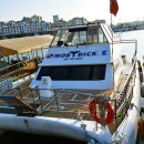 모비딕2019 이미지