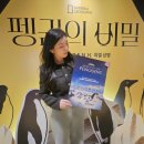 용산-46 | [용산 실내데이트 추천] 용산 아이파크몰 CGV SCREENX로 본 &lt;펭귄의 비밀&gt; 시사회 후기