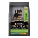 퍼피앤허니 이미지