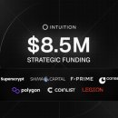 인튜이션 이미지