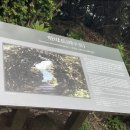 위미위드미 게스트하우스 이미지