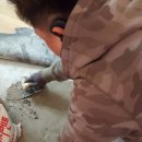 부지런한 홈마트 이미지