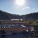 아침햇살의미소 이미지