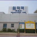 버드나무 이미지