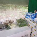 엘가팬션 이미지