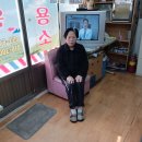 금빛초등길 Daum카페