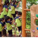 배산초등 이미지