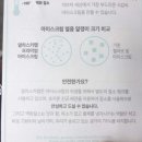 알래스카랩