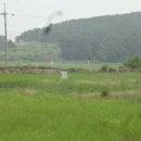 태안부동산공인중개사사무소 이미지