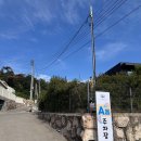 라파미C 네이버블로그