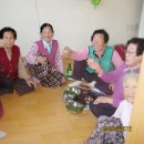 진창마을회관 Daum카페