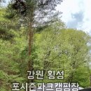 포시즌마트 | [강원도 횡성] 포시즌파크캠핑장 / B구역 숲속캠핑 계곡뷰 명당자리 근처마트