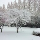 우리약국 이미지