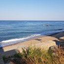 용지공인중개사사무소 이미지