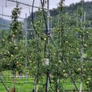 춘양농장 이미지