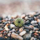 천지한의원 이미지