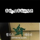 휠로스인약손