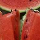 배골농장 이미지