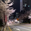 싱어송그라이타-의 내한