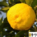 현옥농장 이미지