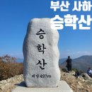 호돌유치원 | 부산 사하 하단 동원베네스트아파트 승학산 부산일과학고 등산 최단 코스 억새