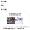 봉투어 | [삿포로] 비에이 투어 내돈내산 후기 | 흰그림자투어, 여름 삿포로 여행 추천
