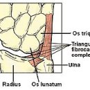 동행의원한의원 이미지