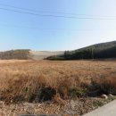 가시리 태양광발전소 이미지