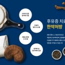 황금한의원 이미지