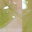 그린풀녹즙