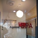 재생동물병원 이미지