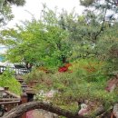 산과들가든 이미지