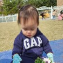 강담어린이집 이미지