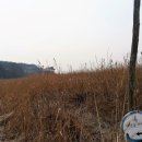 새만금바람길 이미지