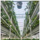 주식회사 스마트글로벌 네이버블로그