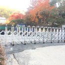 (주)아마다코리아