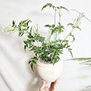 학의농장 이미지