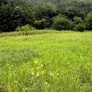 &#34;관동대로 구질현&#34; ＜명승＞ 이미지